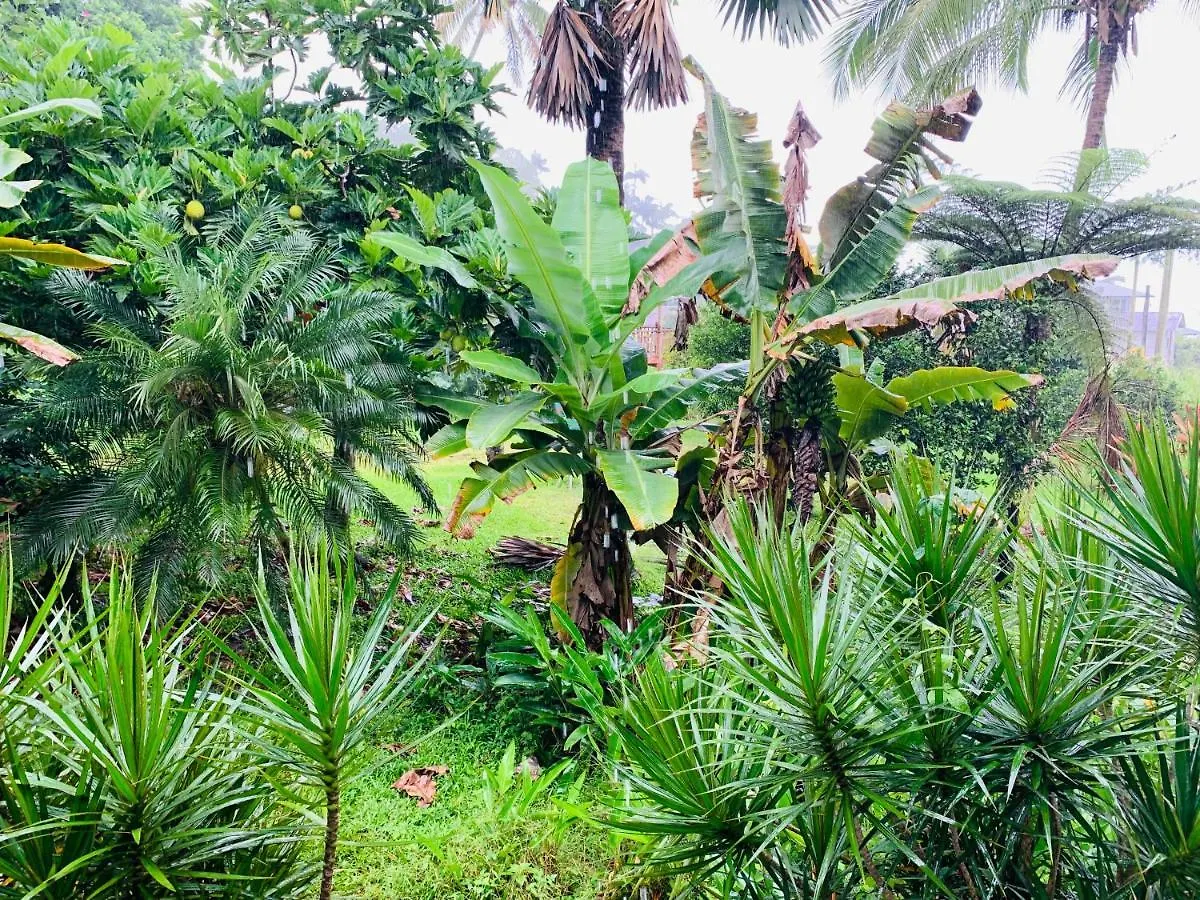 Wild Ginger Hotel Hilo United States