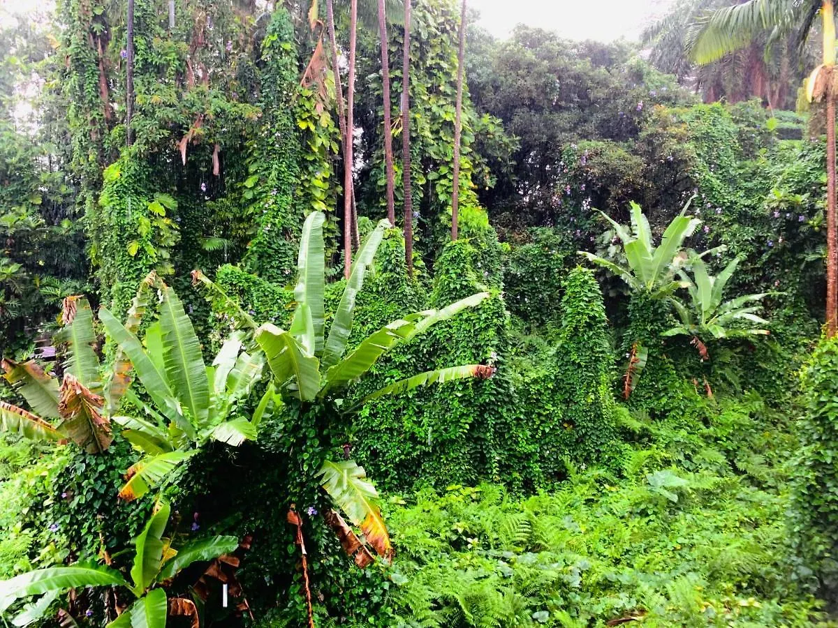 Wild Ginger Hotel Hilo 3*,  United States