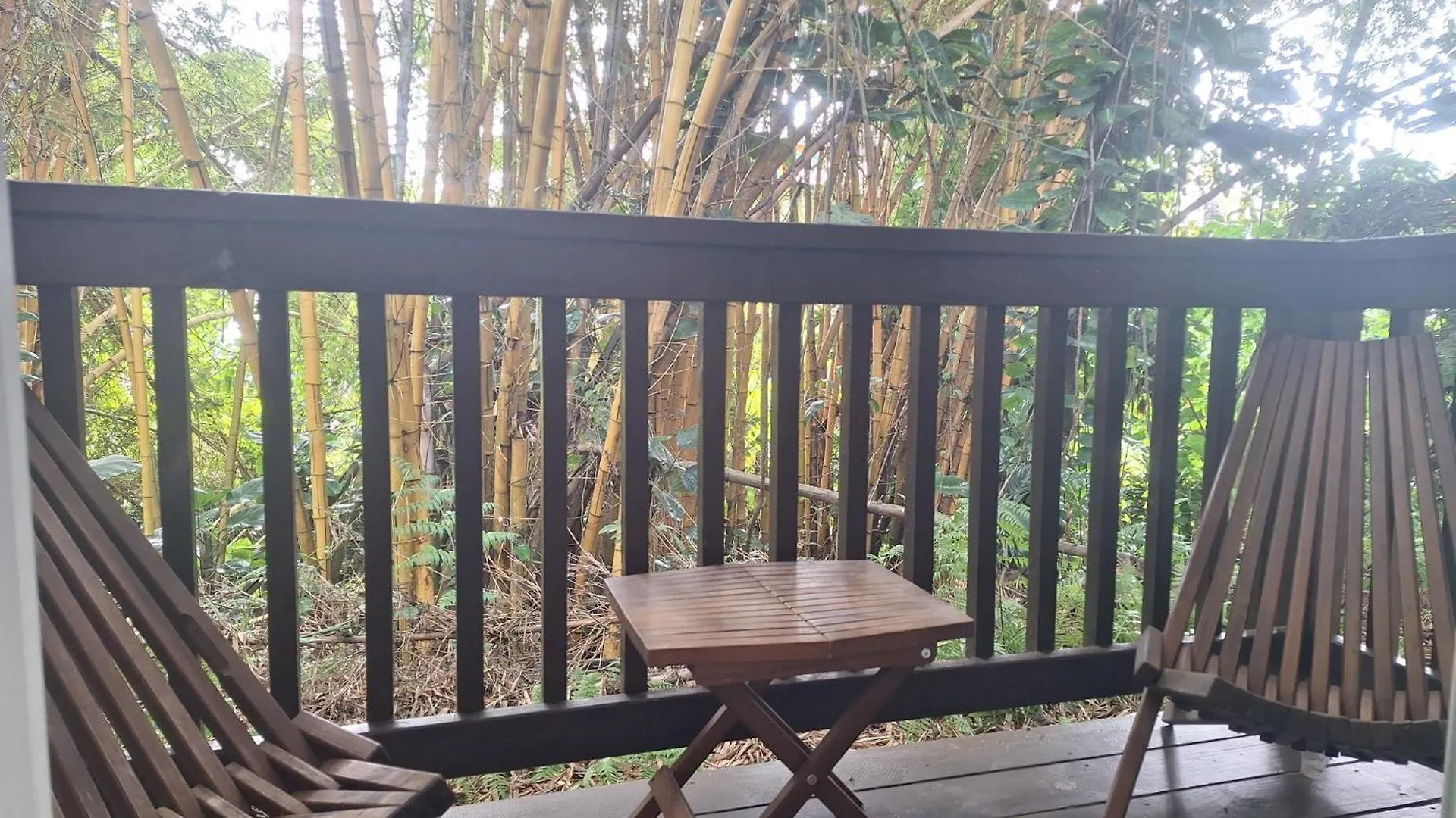 Wild Ginger Hotel Hilo 3*,  United States